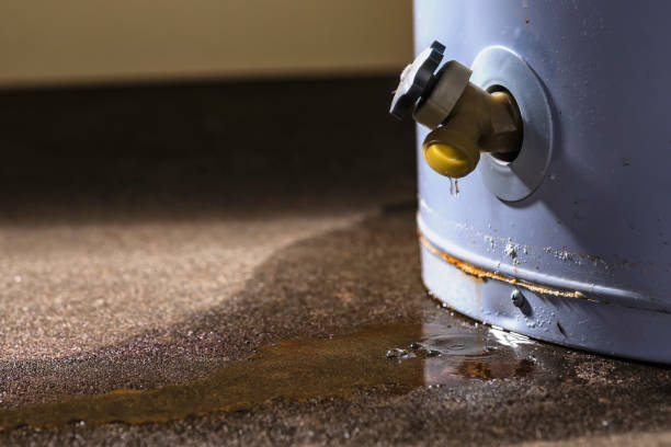 Best Residential water damage restoration  in San Carlos, AZ