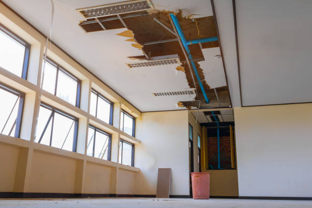  San Carlos, AZ Water damage restoration Pros