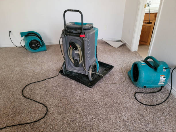 Best Water damage restoration insurance claims  in San Carlos, AZ