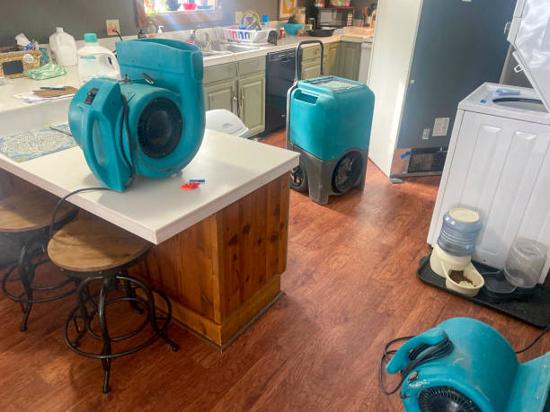 Trusted San Carlos, AZ Water damage restoration Experts
