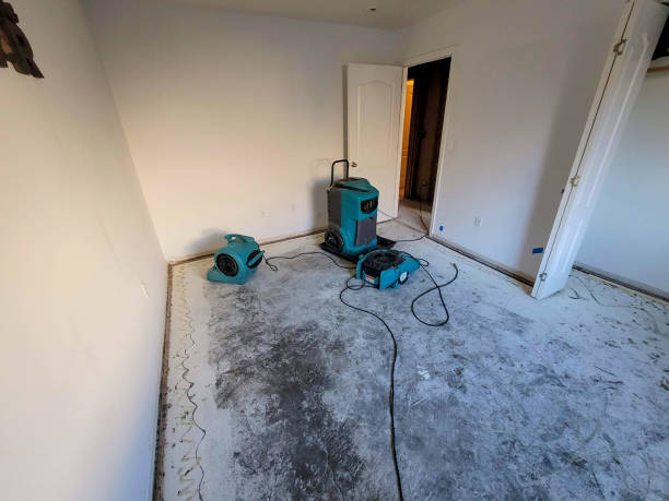 Best Flood restoration services  in San Carlos, AZ