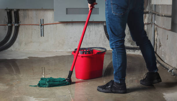 Best Mold removal after water damage  in San Carlos, AZ