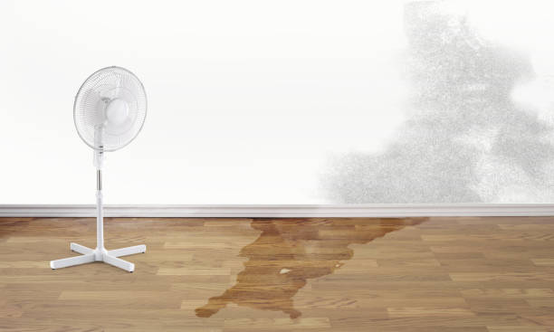 Sewage cleanup and water damage restoration in San Carlos, AZ