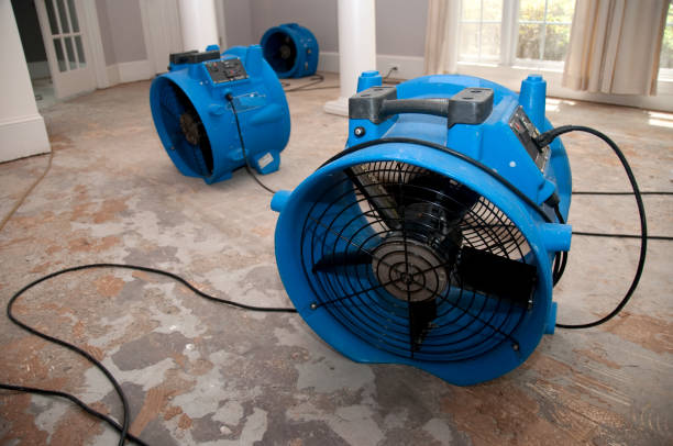 Best Emergency water damage restoration  in San Carlos, AZ