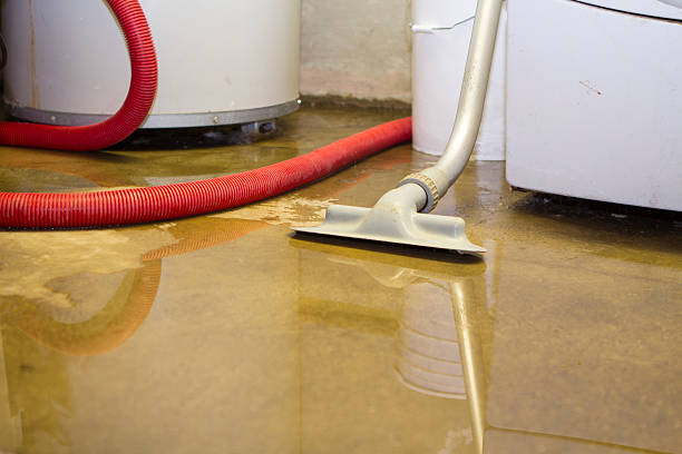 Best Water damage contractors near me  in San Carlos, AZ