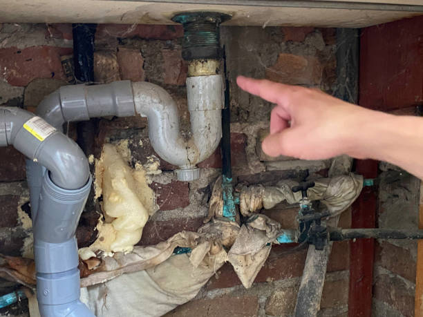 San Carlos, AZ Water damage restoration Company
