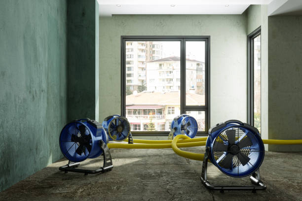 Best Water damage restoration near me  in San Carlos, AZ