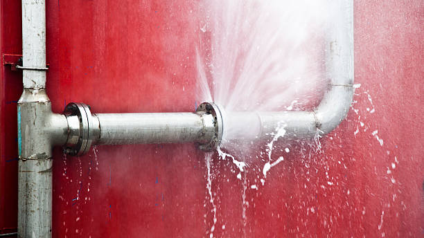 Best Water damage restoration near me  in San Carlos, AZ
